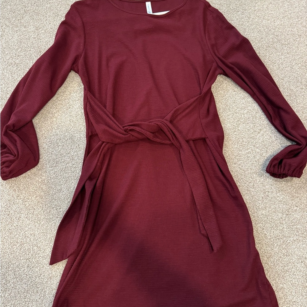 Elegant Burgundy Long Sleeve Dress